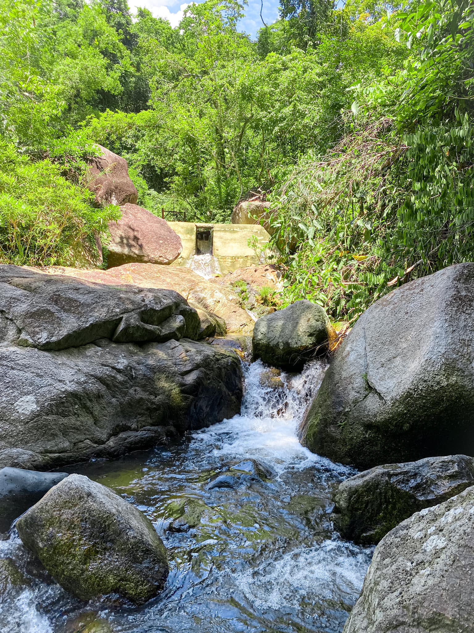 Check-in Suối Tiên – Điểm du lịch sinh thái cực “hot” tại phố biển Nha Trang
